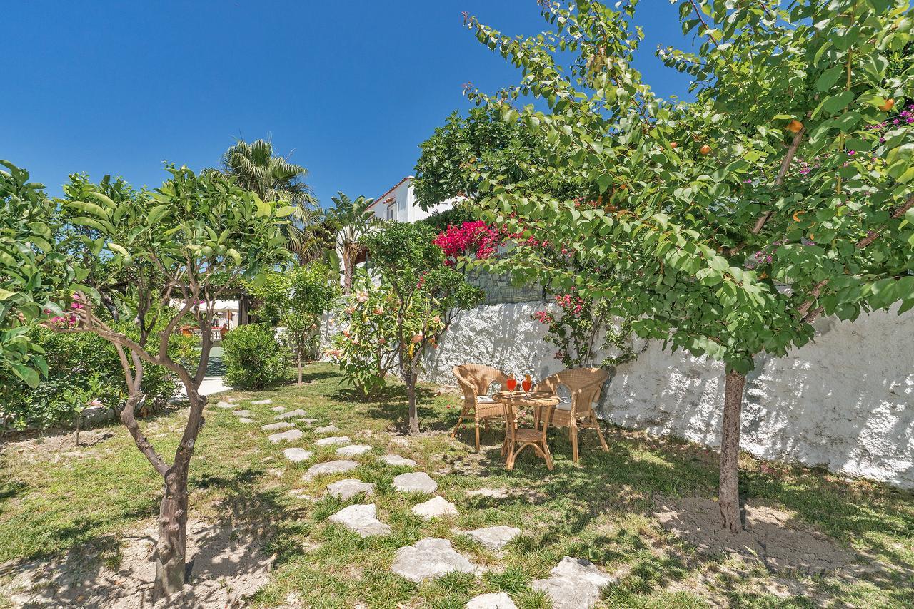 Hotel Casa La Vigna Sant'Angelo  Exteriér fotografie